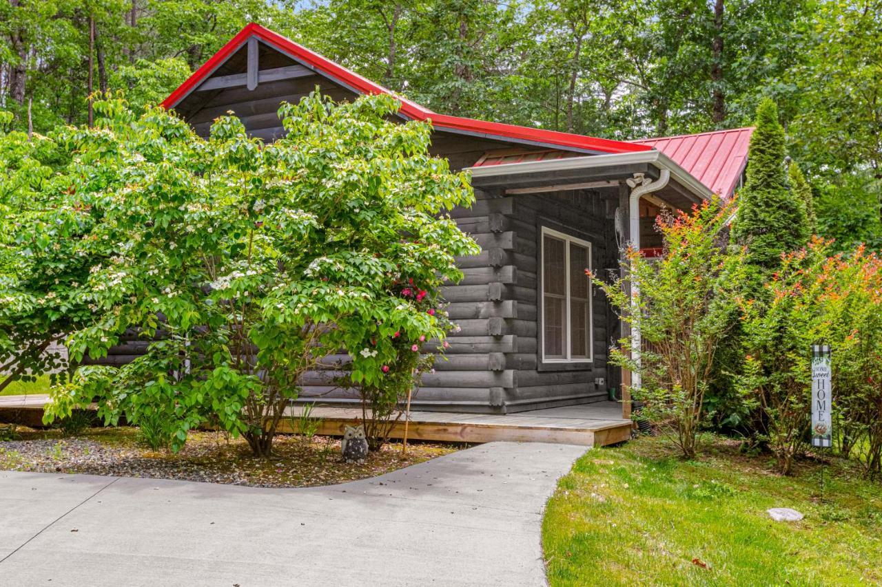 Wild Rose Cabin Lake Lure Eksteriør billede